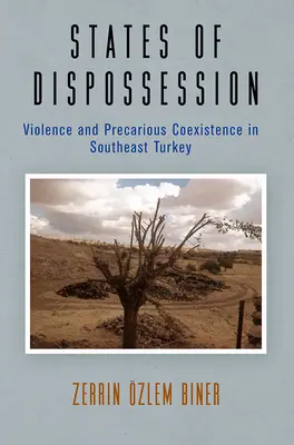 Estados de desposesión: Violencia y coexistencia precaria en el sureste de Turquía - States of Dispossession: Violence and Precarious Coexistence in Southeast Turkey