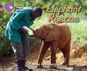 Rescate de elefantes - Elephant Rescue