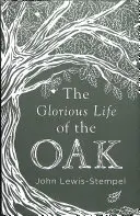 La gloriosa vida del roble - Glorious Life of the Oak