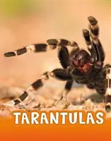 Tarántulas - Tarantulas