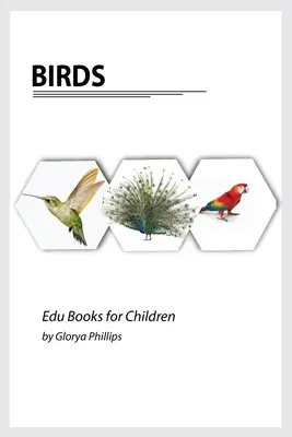 Pájaros: Montessori libro pájaros reales, bits de inteligencia para el bebé y el niño pequeño, libro para niños, recursos de aprendizaje. - Birds: Montessori real birds book, bits of intelligence for baby and toddler, children's book, learning resources.