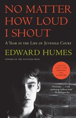 No importa lo alto que grite: Un año en la vida del Tribunal de Menores - No Matter How Loud I Shout: A Year in the Life of Juvenile Court