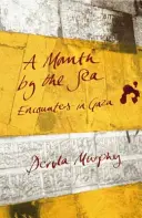 Un mes junto al mar: Encuentros en Gaza - A Month by the Sea: Encounters in Gaza