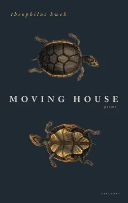 Mudanzas - Moving House