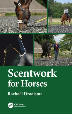 Escenografía para caballos - Scentwork for Horses
