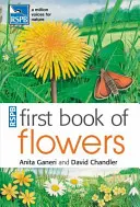 Primer libro de flores de la RSPB - RSPB First Book of Flowers