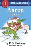 Aaron es guay - Aaron Is Cool