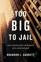 Demasiado grande para ir a la cárcel: Cómo los fiscales pactan con las empresas - Too Big to Jail: How Prosecutors Compromise with Corporations