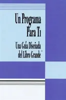 Un Programa Para Ti: Una Guía Disenada del Libro Grande - Un Programa Para Ti (a Program for You Book): Una Guia Disenada del Libro Grande