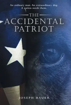 El patriota accidental - The Accidental Patriot