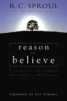 Razón para creer: Una respuesta a las objeciones más comunes al cristianismo - Reason to Believe: A Response to Common Objections to Christianity