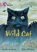 Gato salvaje - Wild Cat