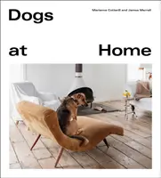 Perros en casa - Dogs at Home