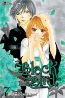 Black Bird, volumen 7 - Black Bird, Volume 7