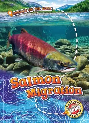 Migración del salmón - Salmon Migration