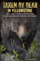 Atrapados por un oso en Yellowstone: Más de un siglo de angustiosos encuentros entre osos pardos y humanos - Taken by Bear in Yellowstone: More Than a Century of Harrowing Encounters between Grizzlies and Humans