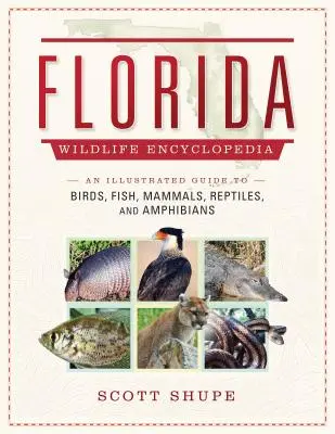 Florida Wildlife Encyclopedia: Guía ilustrada de aves, peces, mamíferos, reptiles y anfibios - Florida Wildlife Encyclopedia: An Illustrated Guide to Birds, Fish, Mammals, Reptiles, and Amphibians