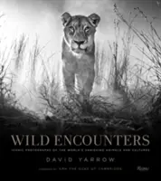 Encuentros salvajes: Fotografías icónicas de animales y culturas del mundo en vías de extinción - Wild Encounters: Iconic Photographs of the World's Vanishing Animals and Cultures