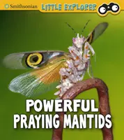 Poderosas mantis religiosas - Powerful Praying Mantises