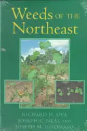 Las malas hierbas del noreste - Weeds of the Northeast