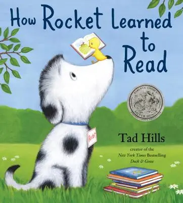 Cómo aprendió a leer Rocket - How Rocket Learned to Read