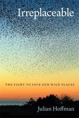 Irreemplazable: La lucha por salvar nuestros lugares salvajes - Irreplaceable: The Fight to Save Our Wild Places