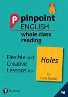 Pinpoint English Whole Class Reading Y6: Holes - Lecciones flexibles y creativas para Holes (por Louis Sachar) - Pinpoint English Whole Class Reading Y6: Holes - Flexible and Creative Lessons for Holes (by Louis Sachar)