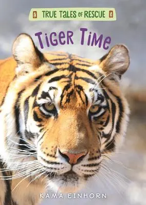 La hora del tigre - Tiger Time