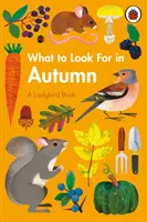 Qué buscar en otoño - What to Look For in Autumn