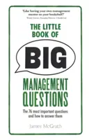 Pequeño libro de las grandes preguntas de gestión - Las 76 preguntas más importantes y cómo responderlas - Little Book of Big Management Questions - The 76 most important questions and how to answer them