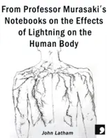 De los cuadernos del profesor Murasaki sobre los efectos de los rayos en el cuerpo humano - From Professor Murasaki's Notebooks on the Effects of Lightning on the Human Body