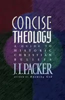 Teología concisa: Guía de las creencias cristianas históricas - Concise Theology: A Guide to Historic Christian Beliefs