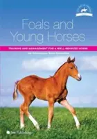 Potros y caballos jóvenes: Adiestramiento y manejo de un caballo bien educado - Foals and Young Horses: Training and Management for a Well-Behaved Horse