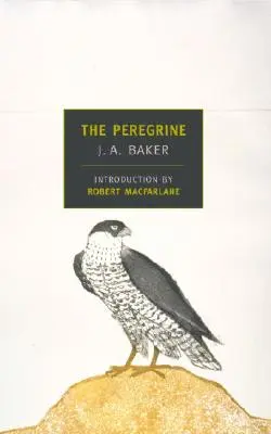 El Peregrino - The Peregrine