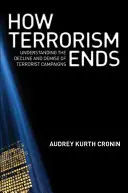 Cómo acaba el terrorismo: cómo entender el declive y la desaparición de las campañas terroristas - How Terrorism Ends: Understanding the Decline and Demise of Terrorist Campaigns