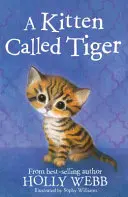 Gatito llamado Tigre - Kitten Called Tiger