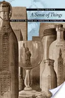 El sentido de las cosas: La materia objeto de la literatura estadounidense - A Sense of Things: The Object Matter of American Literature