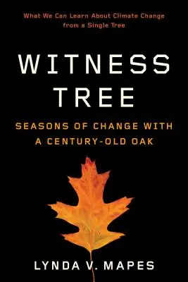 Árbol testigo: Estaciones de cambio con un roble centenario - Witness Tree: Seasons of Change with a Century-Old Oak