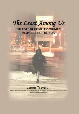 The Least Among Us: La vida de las mujeres sin hogar en Springfield, Illinois - The Least Among Us: The Lives of Homeless Women in Springfield, Illinois