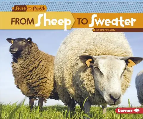 De la oveja al jersey - From Sheep to Sweater