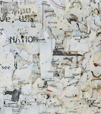 Mitch Epstein Derechos de propiedad - Mitch Epstein: Property Rights