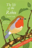 La vida del petirrojo: elegido ave nacional de Gran Bretaña - The Life of the Robin: Voted Britain's National Bird