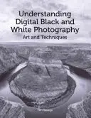 Comprender la fotografía digital en blanco y negro: Arte y Técnicas - Understanding Digital Black and White Photography: Art and Techniques