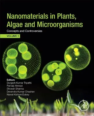 Nanomateriales en plantas, algas y microorganismos: Concepts and Controversies: Volumen 1 - Nanomaterials in Plants, Algae, and Microorganisms: Concepts and Controversies: Volume 1