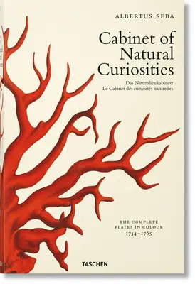 Seba. Gabinete de curiosidades naturales - Seba. Cabinet of Natural Curiosities