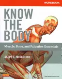 Cuaderno de ejercicios para Conocer el cuerpo: Lo esencial en músculo, hueso y palpación - Workbook for Know the Body: Muscle, Bone, and Palpation Essentials