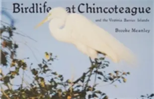 Avifauna en Chincoteague y las islas barrera de Virginia - Birdlife at Chincoteague and the Virginia Barrier Islands