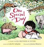 Un día especial: Un cuento para hermanos mayores - One Special Day: A Story for Big Brothers and Sisters