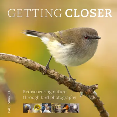 Acercándonos: Redescubrir la naturaleza a través de la fotografía de aves - Getting Closer: Rediscovering Nature Through Bird Photography