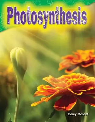 Fotosíntesis - Photosynthesis